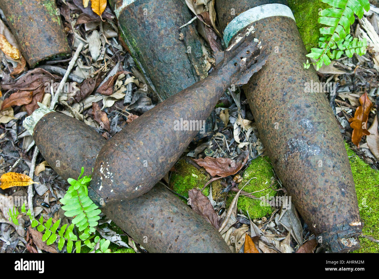 Unexploded Japanese WWII Ammunition Ordnance War Relic Ruins Peleliu Palau Stock Photo