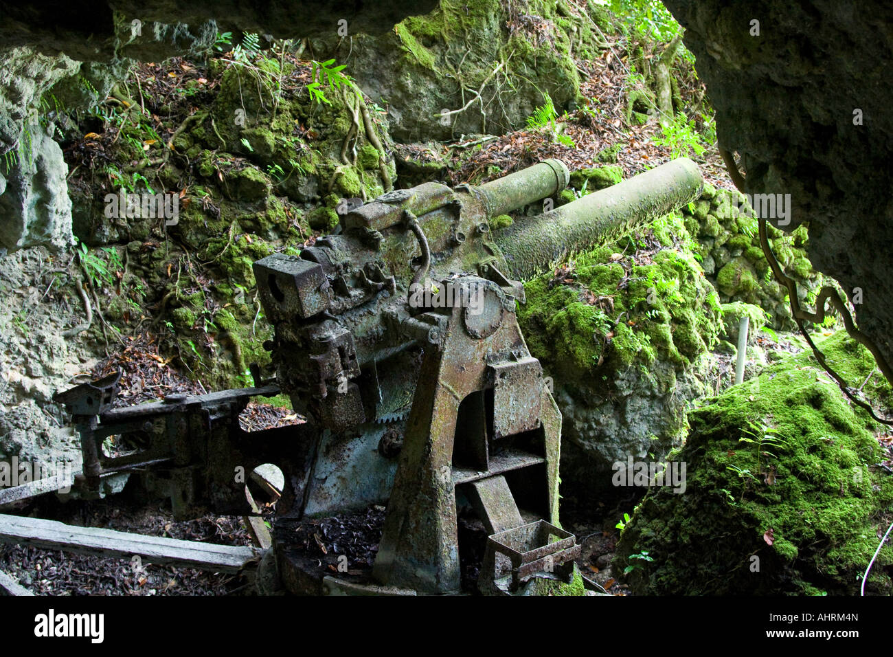 Cave Based Japanese WWII Artillery War Relic Ruins Peleliu Palau Stock Photo