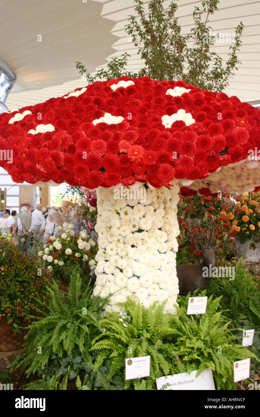 Dahlia arrangement of a toad stool at Federal Garden Exhibition Show 2005 Munich Muenchen  Bavaria Germany Stock Photo