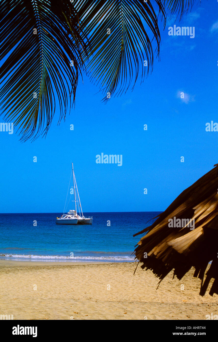 Beach Catamaran in Tobago Trinidad Stock Photo