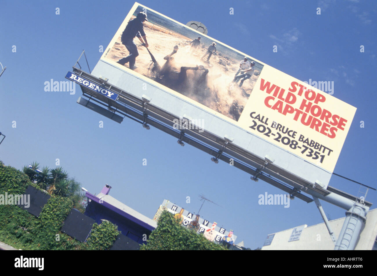 Billboard Stop Wild Horse Captures Stock Photo