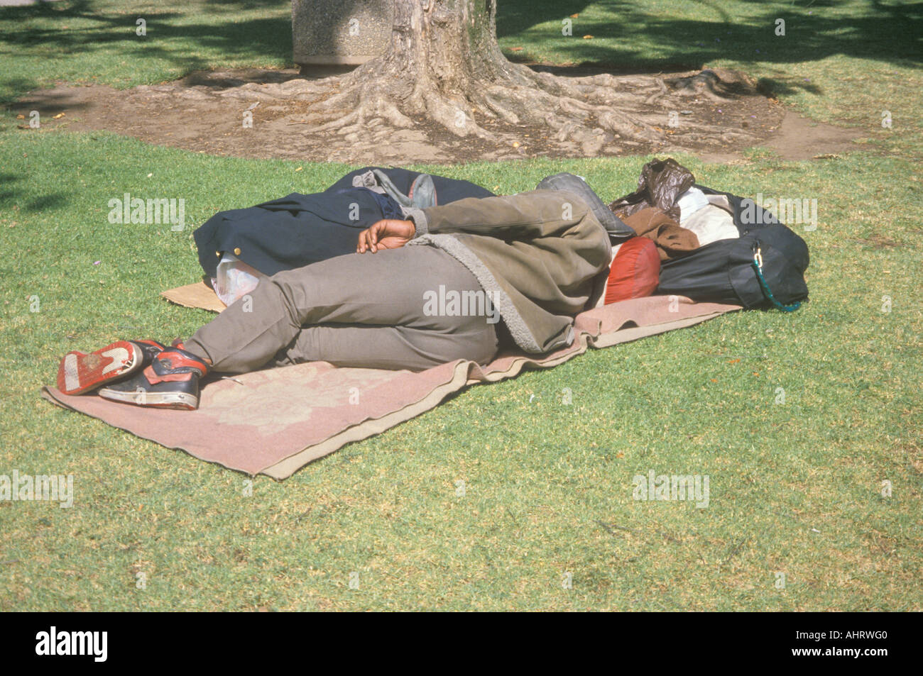 Homeless man sleeping in park Los Angeles California Stock Photo Alamy