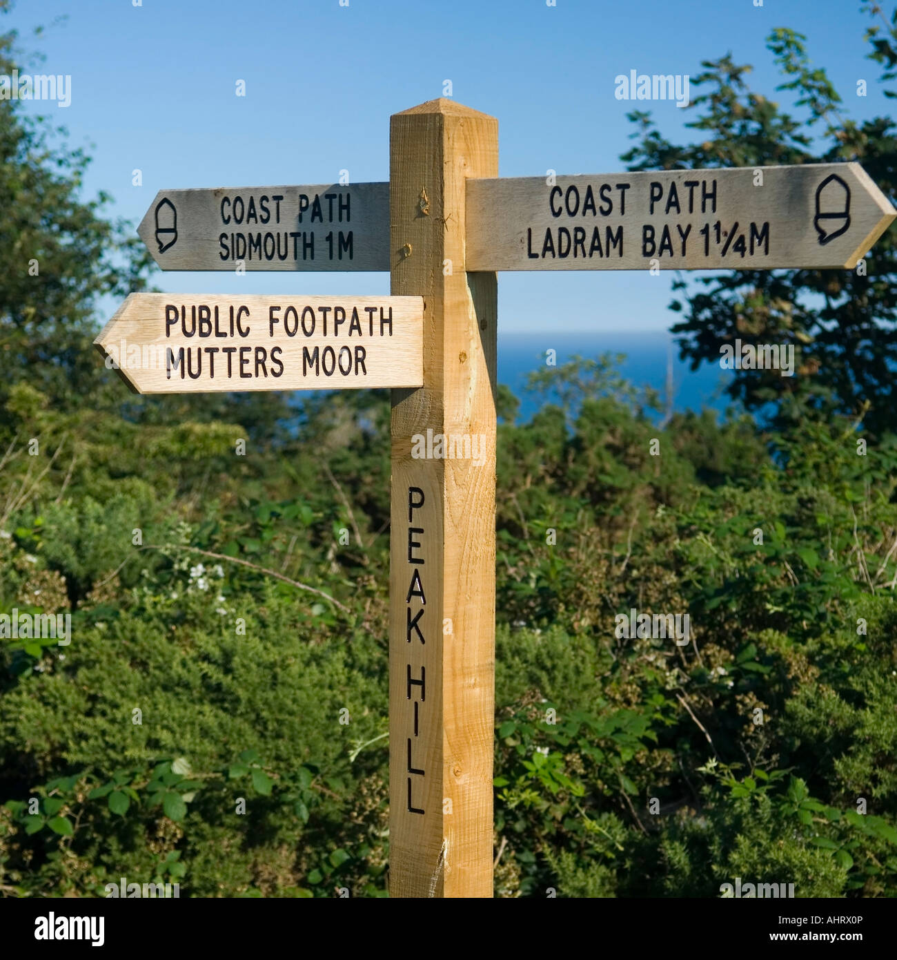 Sign Post On Path Wooden direction Sign Post on South West Coastal Path at Peak Hill near ...
