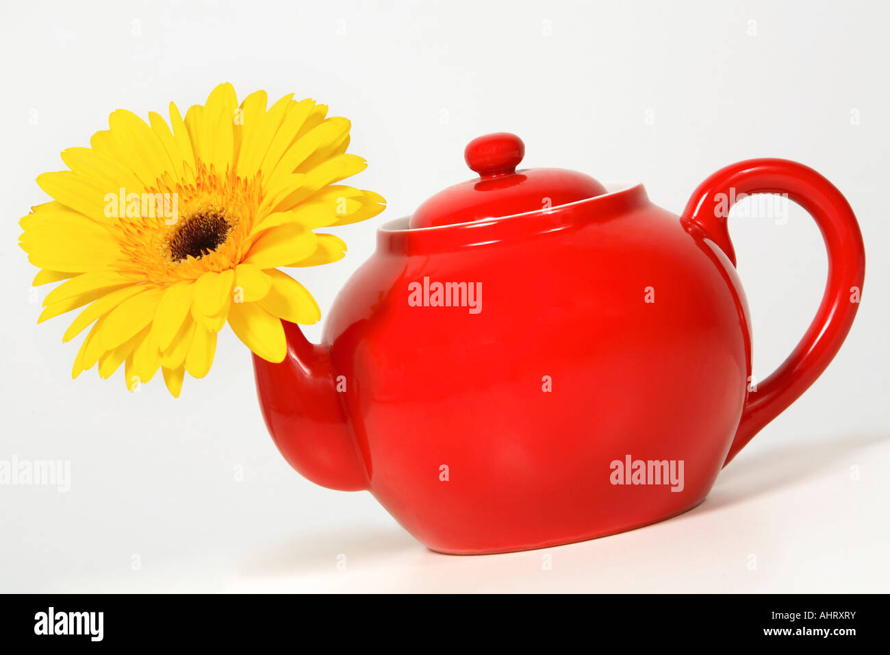 Yellow flower in a red teapot Stock Photo Alamy