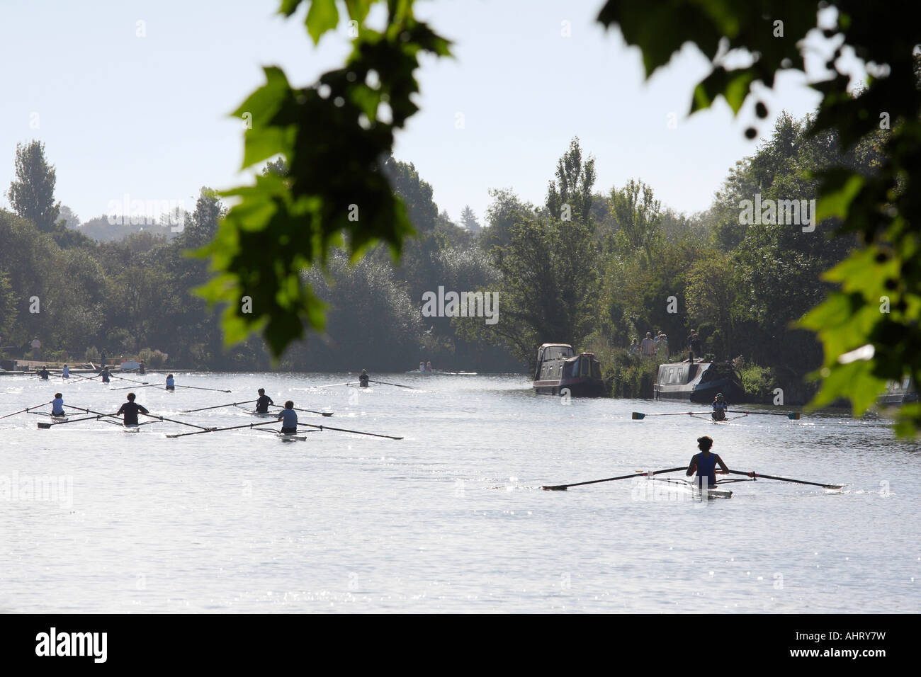 Rowing practice on the Thames at Oxford Stock Photo Alamy