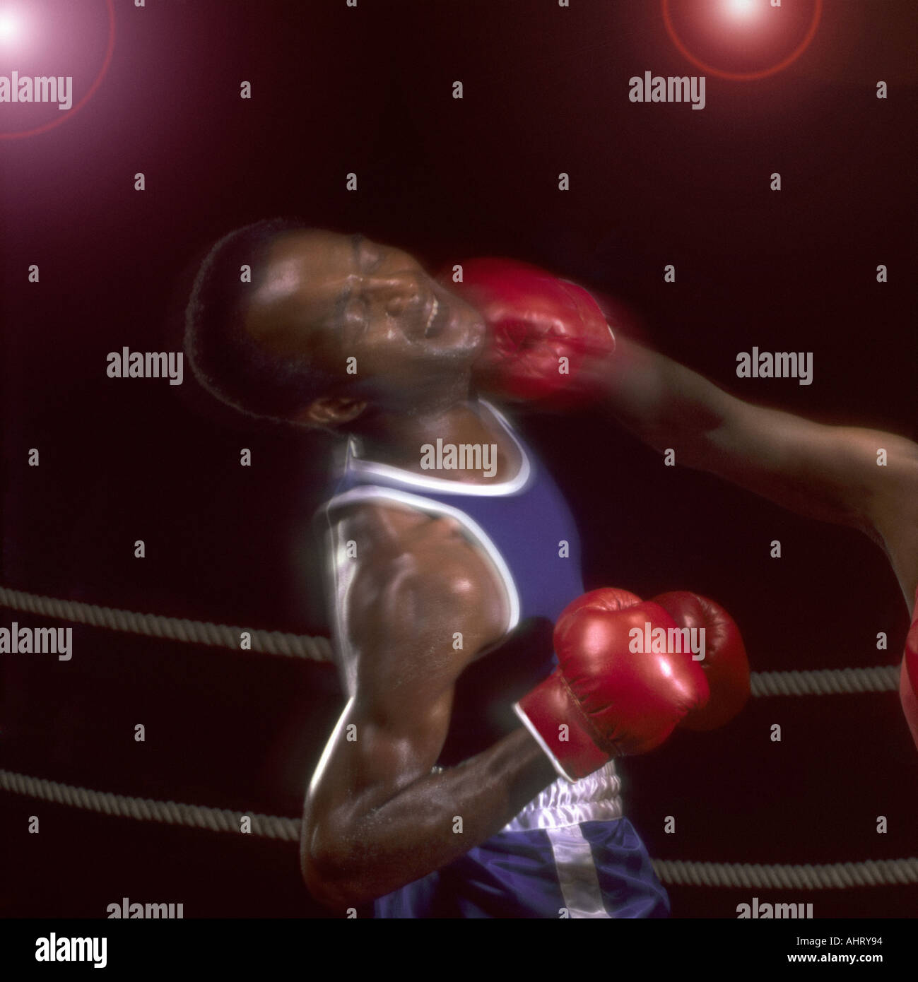 A boxing knockout punch in close up Stock Photo Alamy