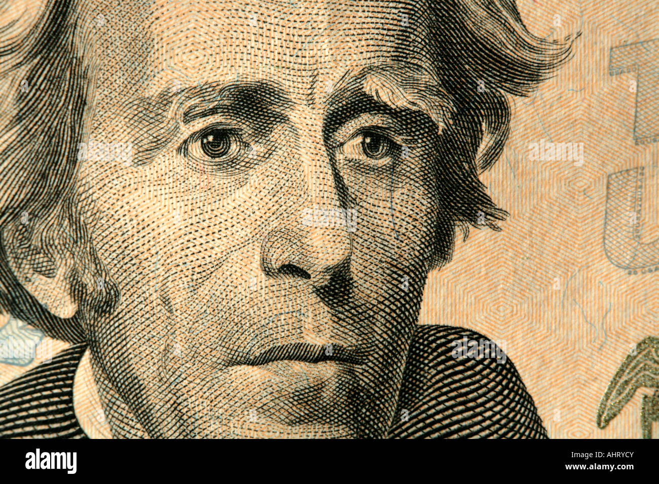 Andrew Jackson face on a twenty dollar bill from the United States