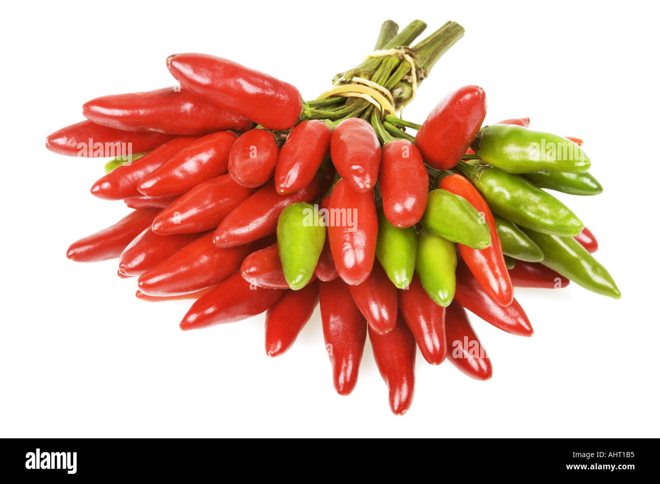 PEPPERS fresh red green pepper chilli chilly chile chili FOOD schote Stock Photo