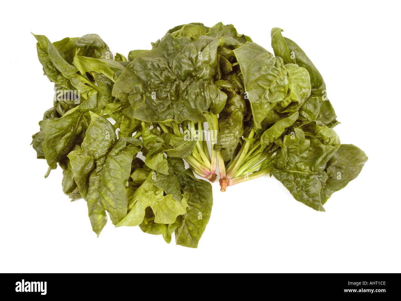 fresh Spinach spinat of italy italien italian greenfood Stock Photo Alamy