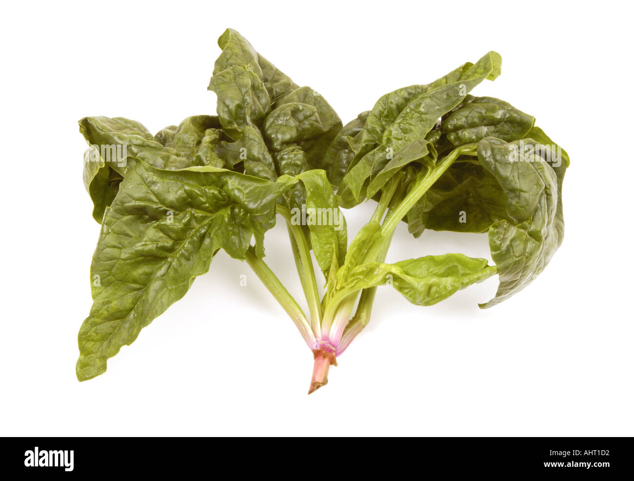 fresh Spinach spinat of italy italien italian greenfood Stock Photo Alamy
