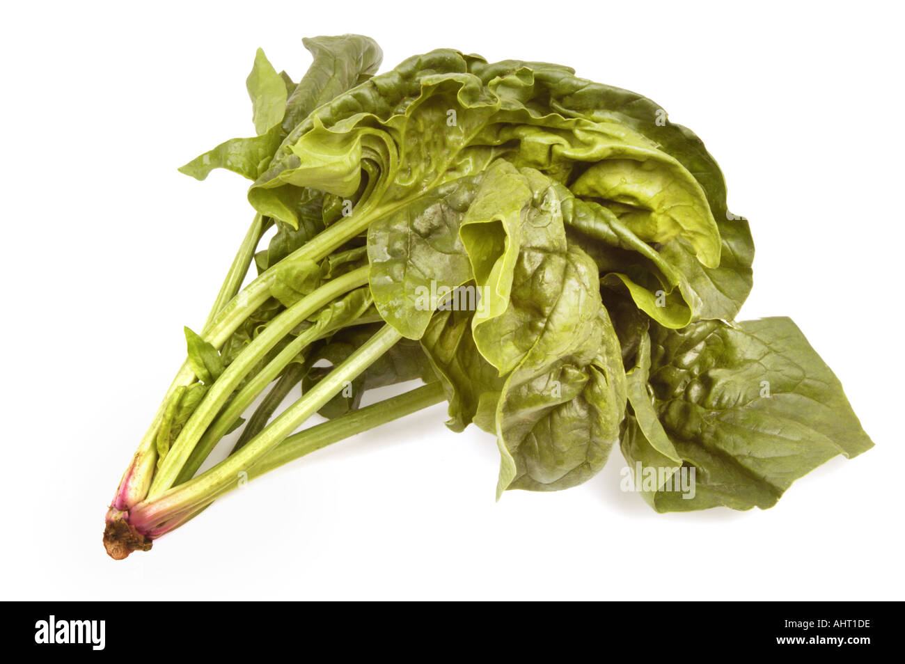 fresh Spinach spinat of italy italien italian greenfood Stock Photo Alamy
