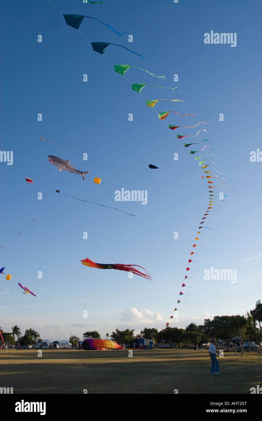 Kites flying at Kitefest - Clontarf, Redcliffe Peninsula, Queensland ...