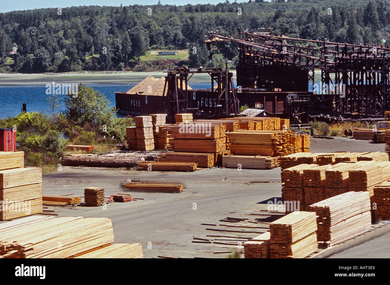 Logging and tree farming industry in the state of Washington Stock ...