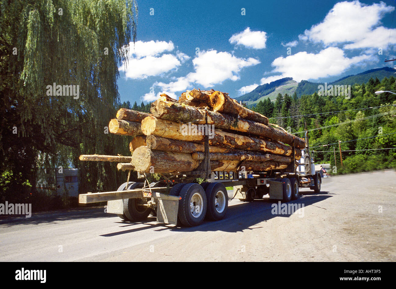 Logging and tree farming industry in the state of Washington Stock ...