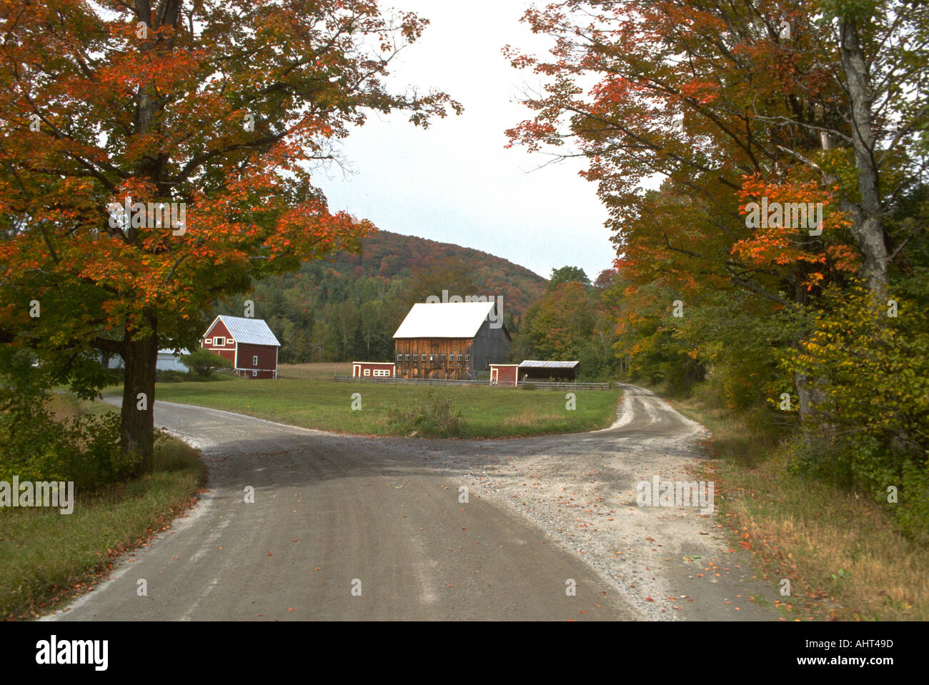 Theme Fork in the road which path to take Stock Photo