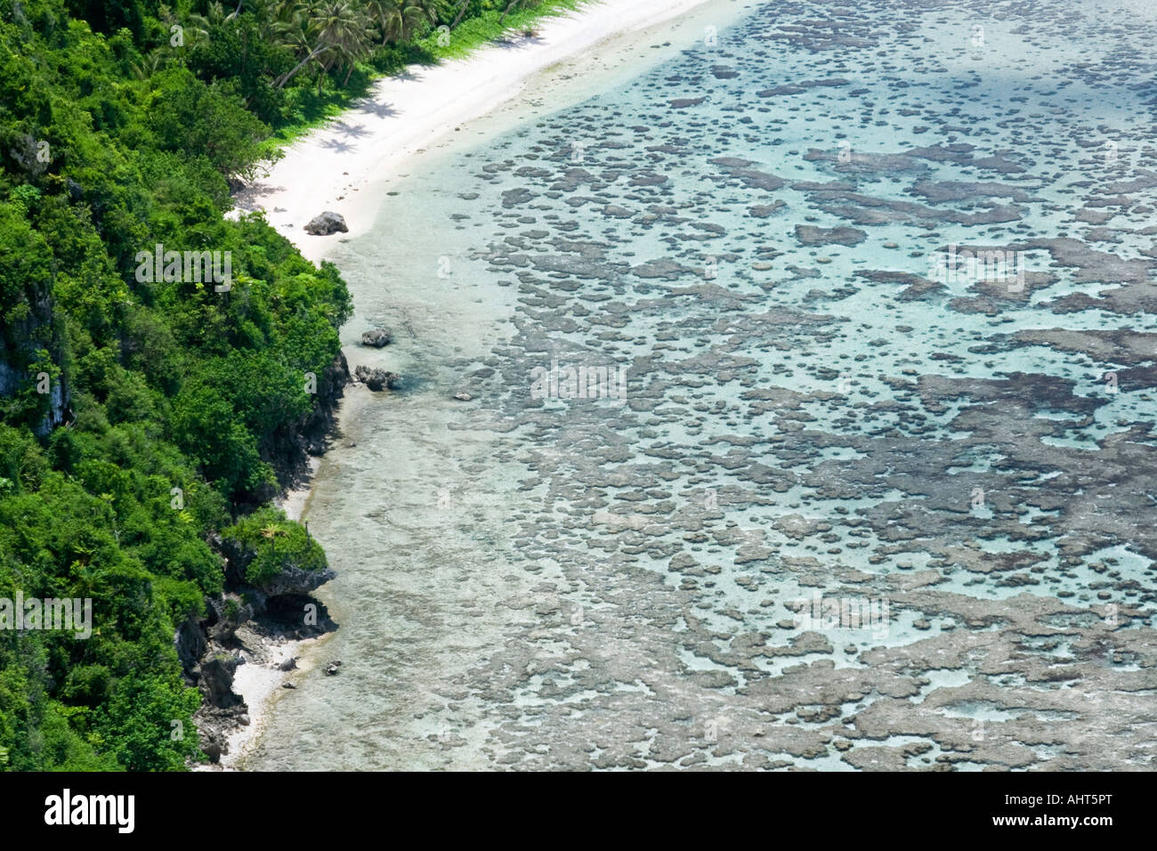 Coral Beach and Jungle Guam Stock Photo