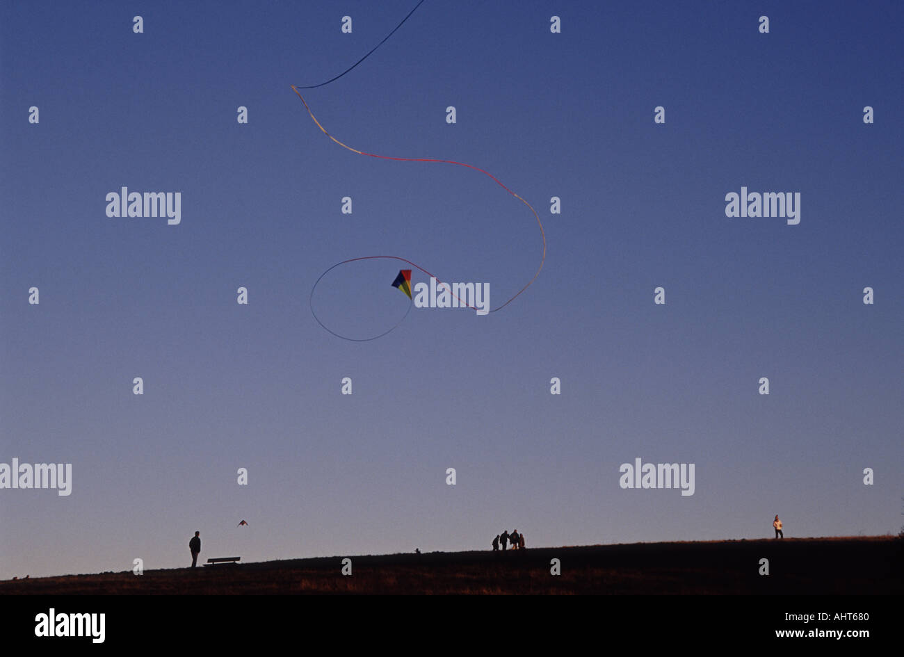 Kite flying over Hampstead Heath London Stock Photo Alamy