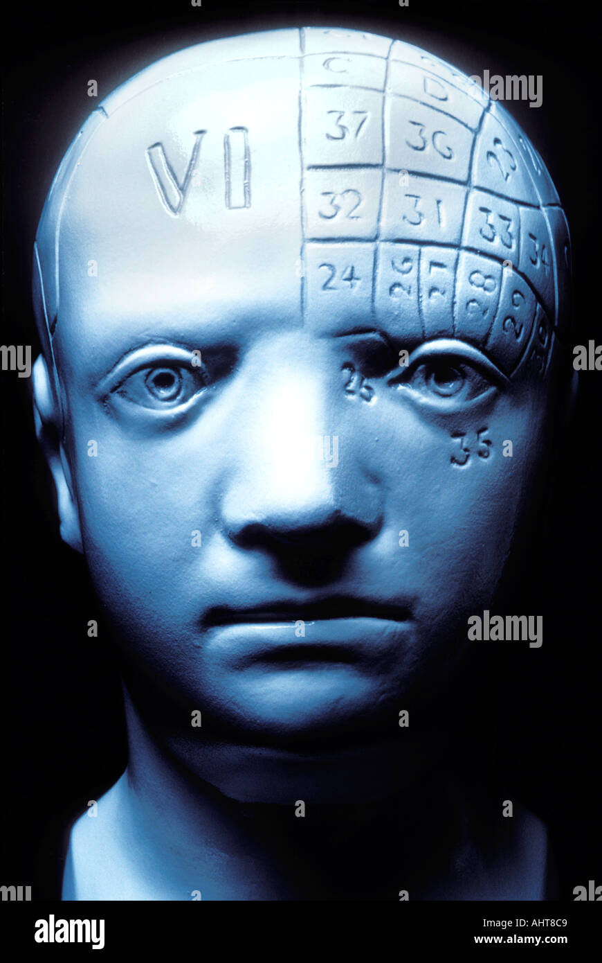 Phrenology head Stock Photo