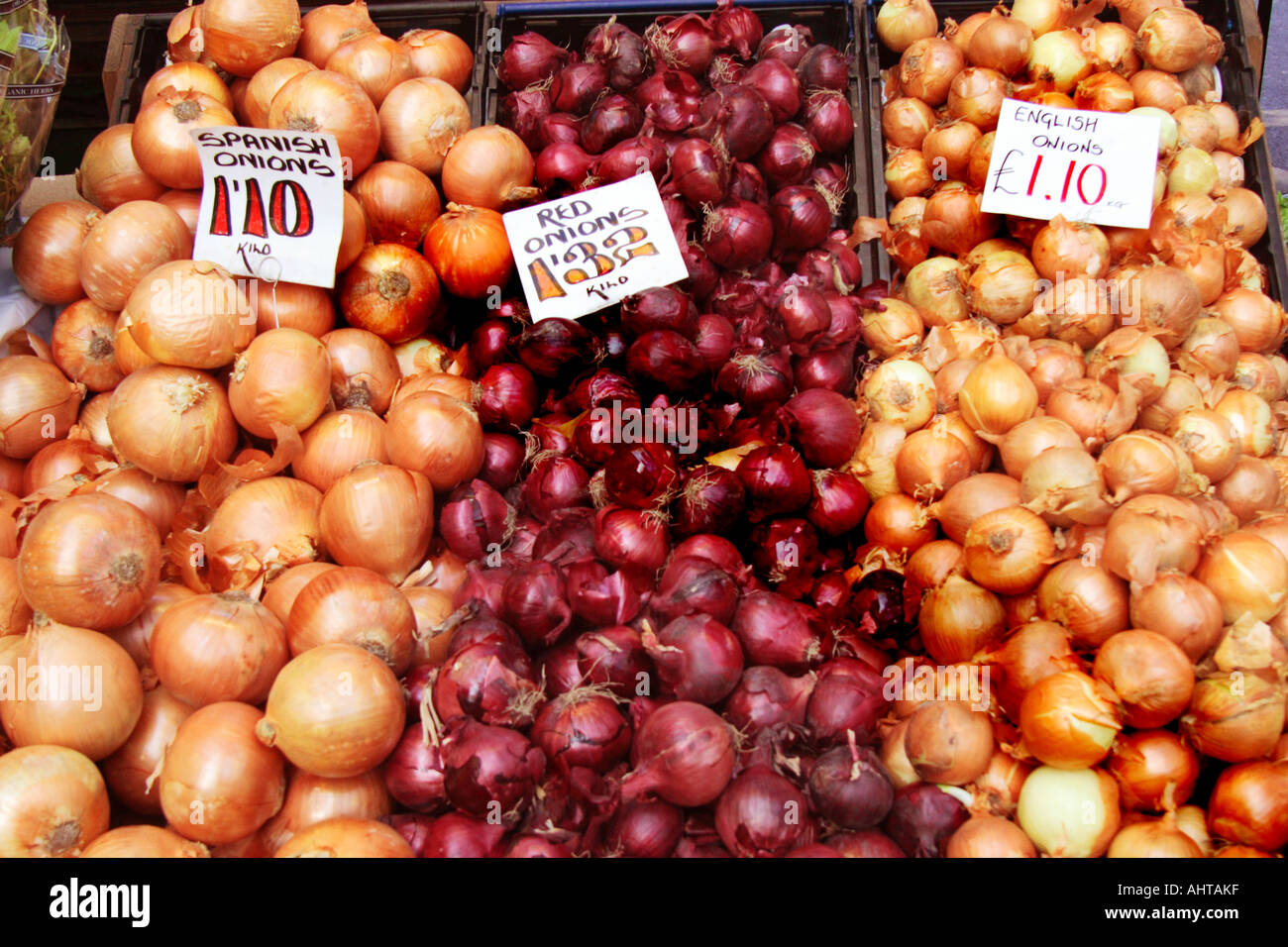 Ramiflora hires stock photography and images Alamy