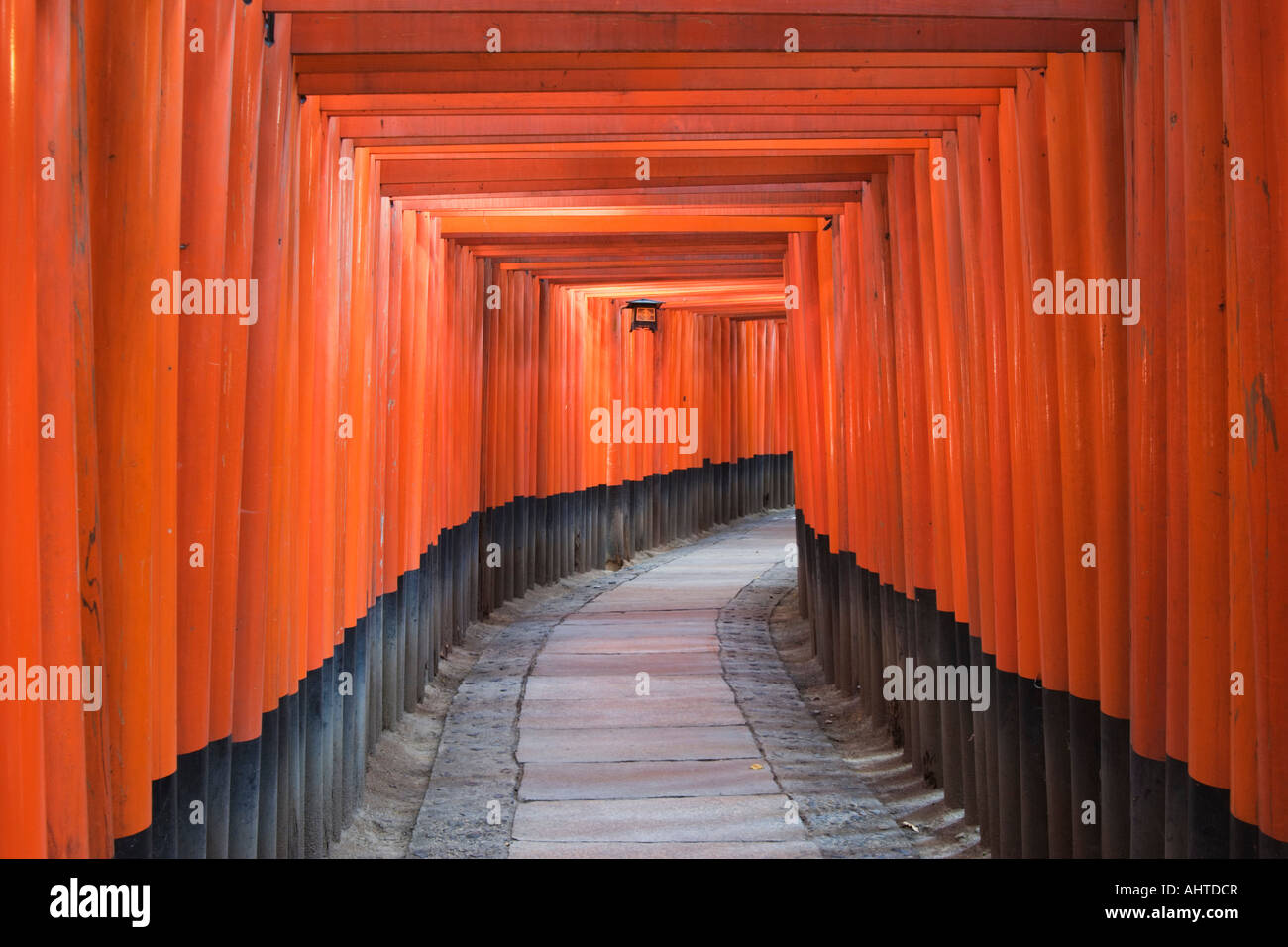 Torii gates line the walking paths at Fushimi Inari Shrine Kyoto Kansai ...
