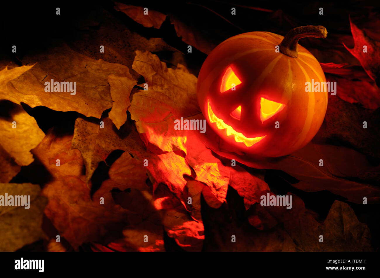 Scary Jack O Lantern Eyes