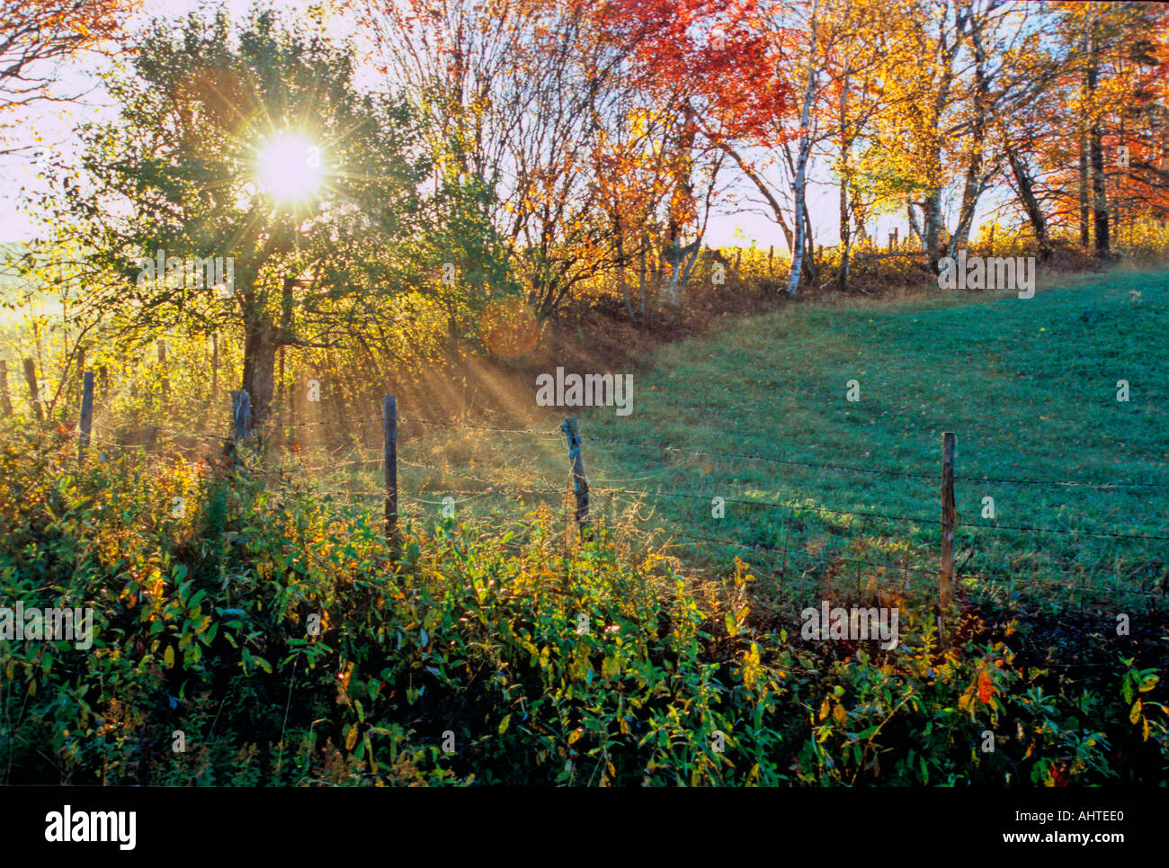 God Rays on the morning meadow Stock Photo