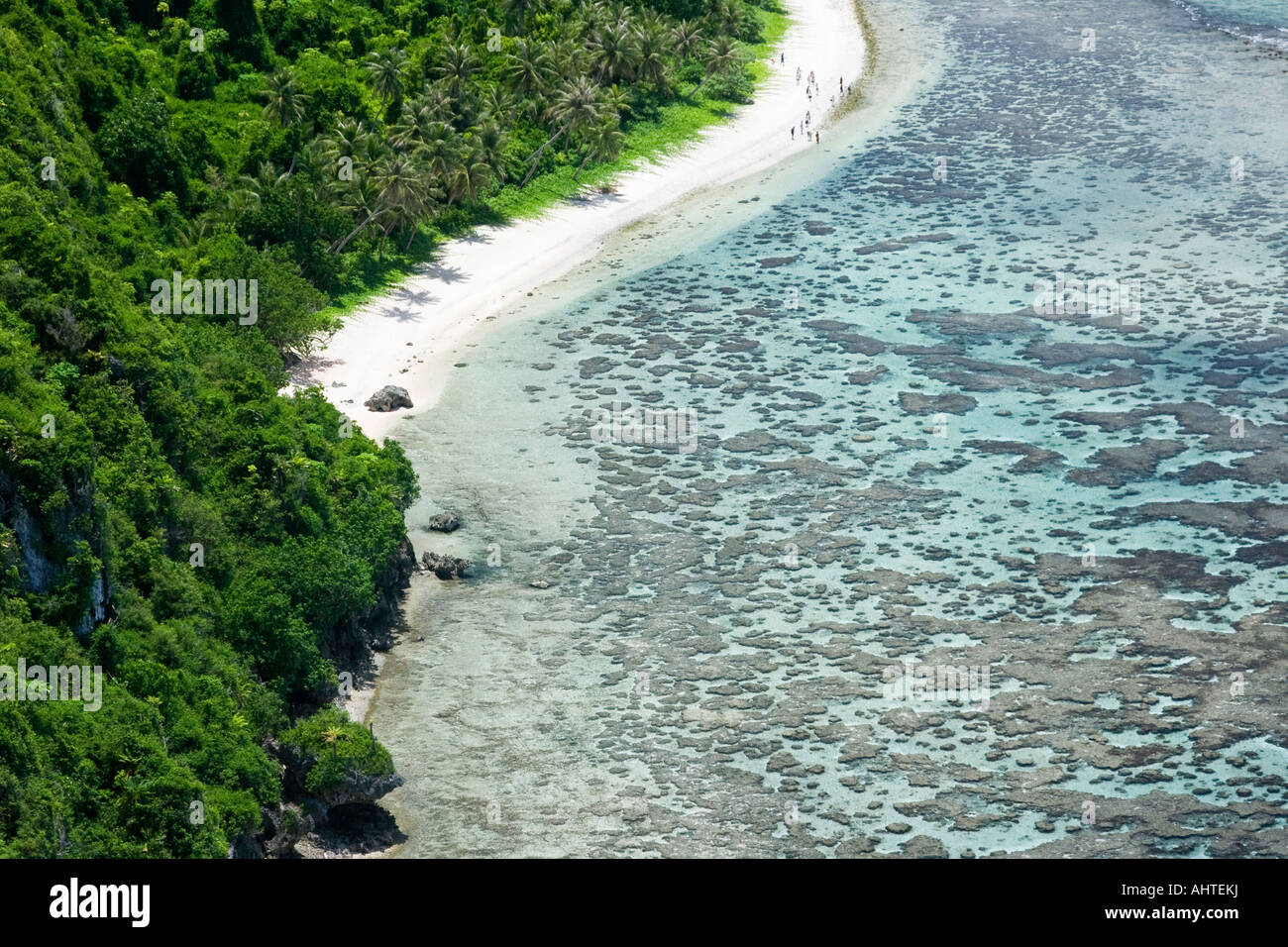 Coral Beach and Jungle Guam Stock Photo