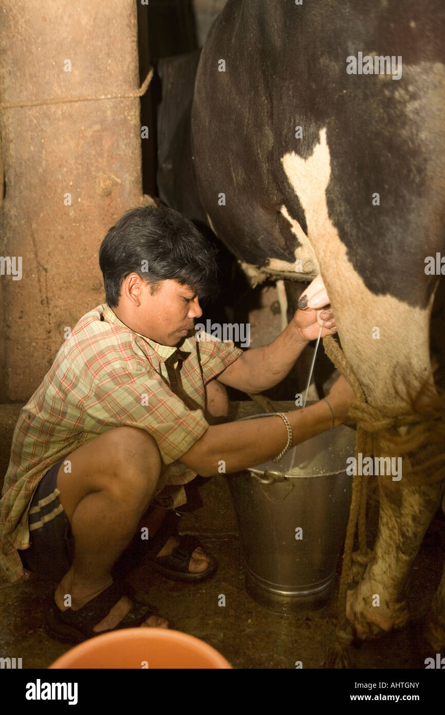 Pasteurisation hires stock photography and images Alamy