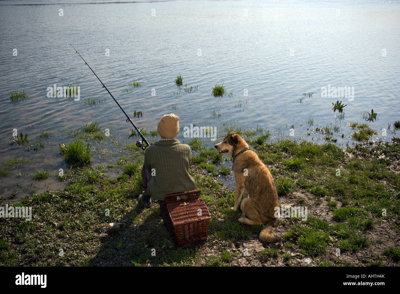 Boy (12-14) fishing by river with pet dog, rear view Stock Photo