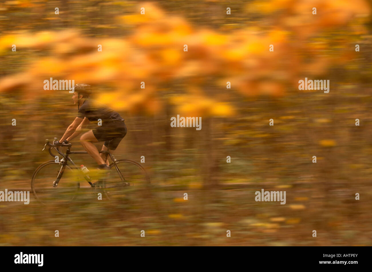 Man cycling in Autumn woods Stock Photo