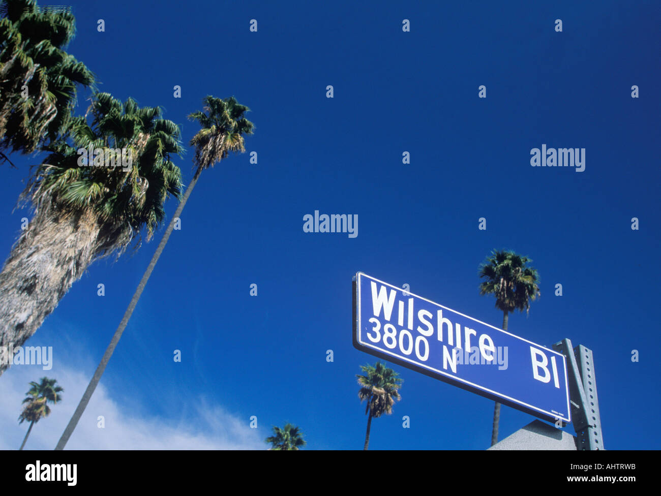 Wilshire bl hires stock photography and images Alamy