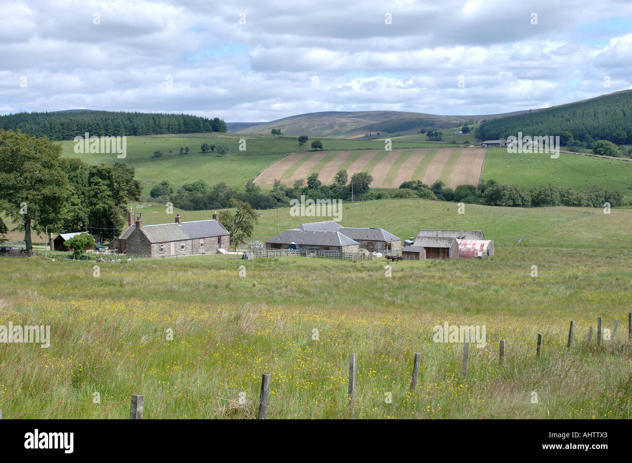 Glen Clova Angus Stock Photo Alamy