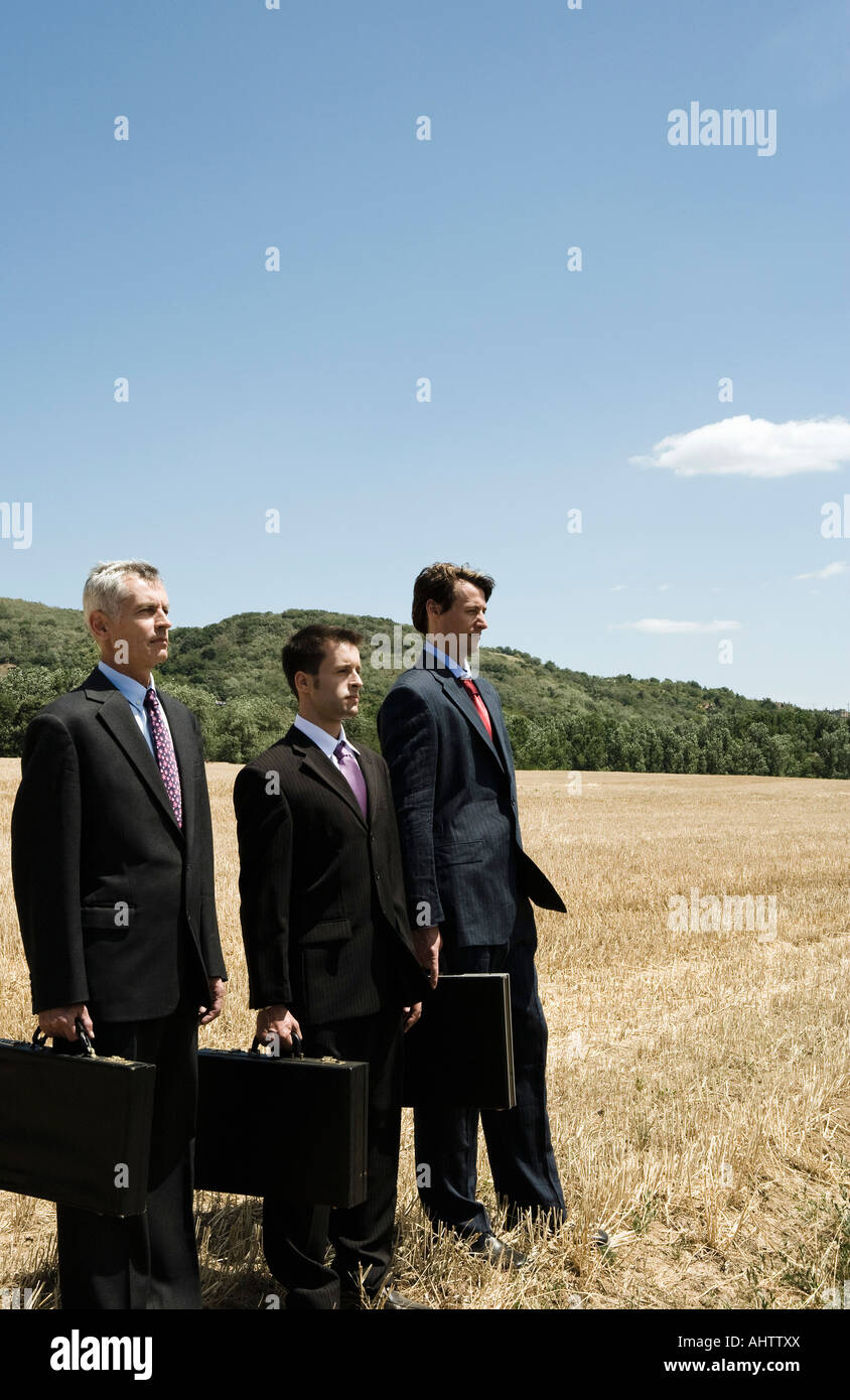 Three businessmen standing in a row in field Stock Photo - Alamy