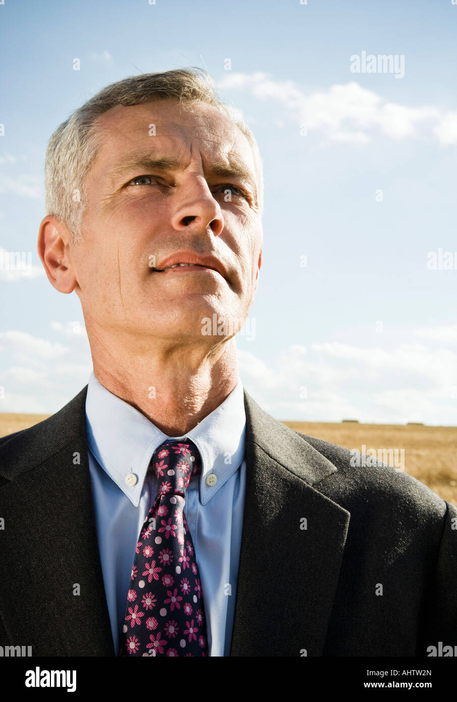 Businessman standing grain field hi-res stock photography and images ...