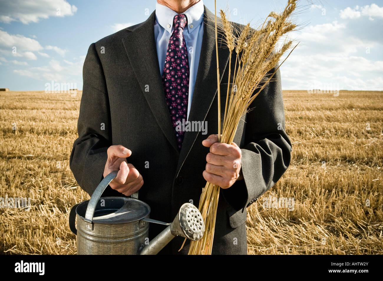 Businessman standing grain field hi-res stock photography and images ...