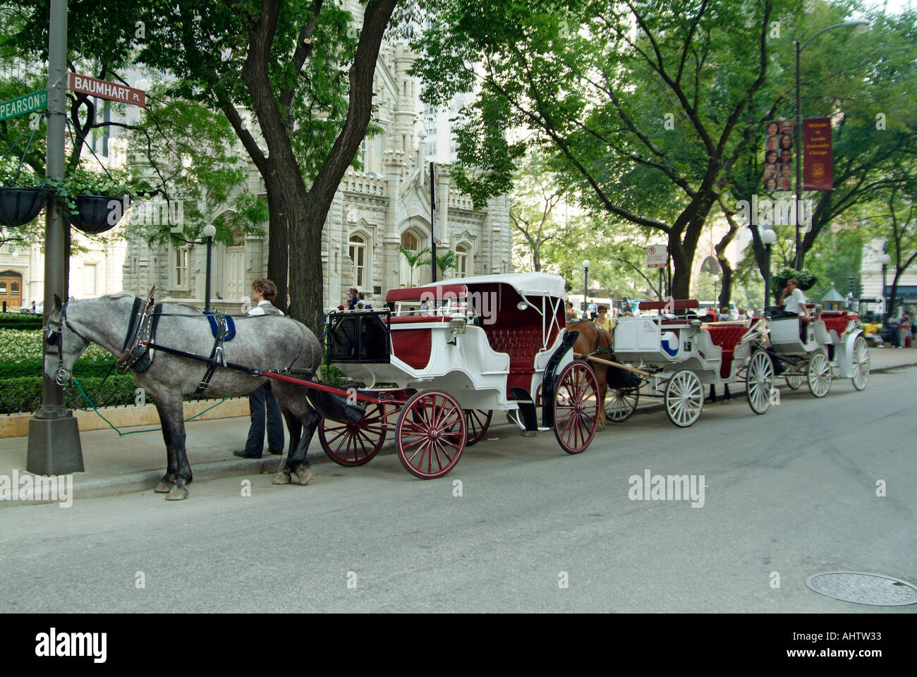 Horse and buggy rides for tourist to downtown Chicago Illinois Stock Photo Alamy