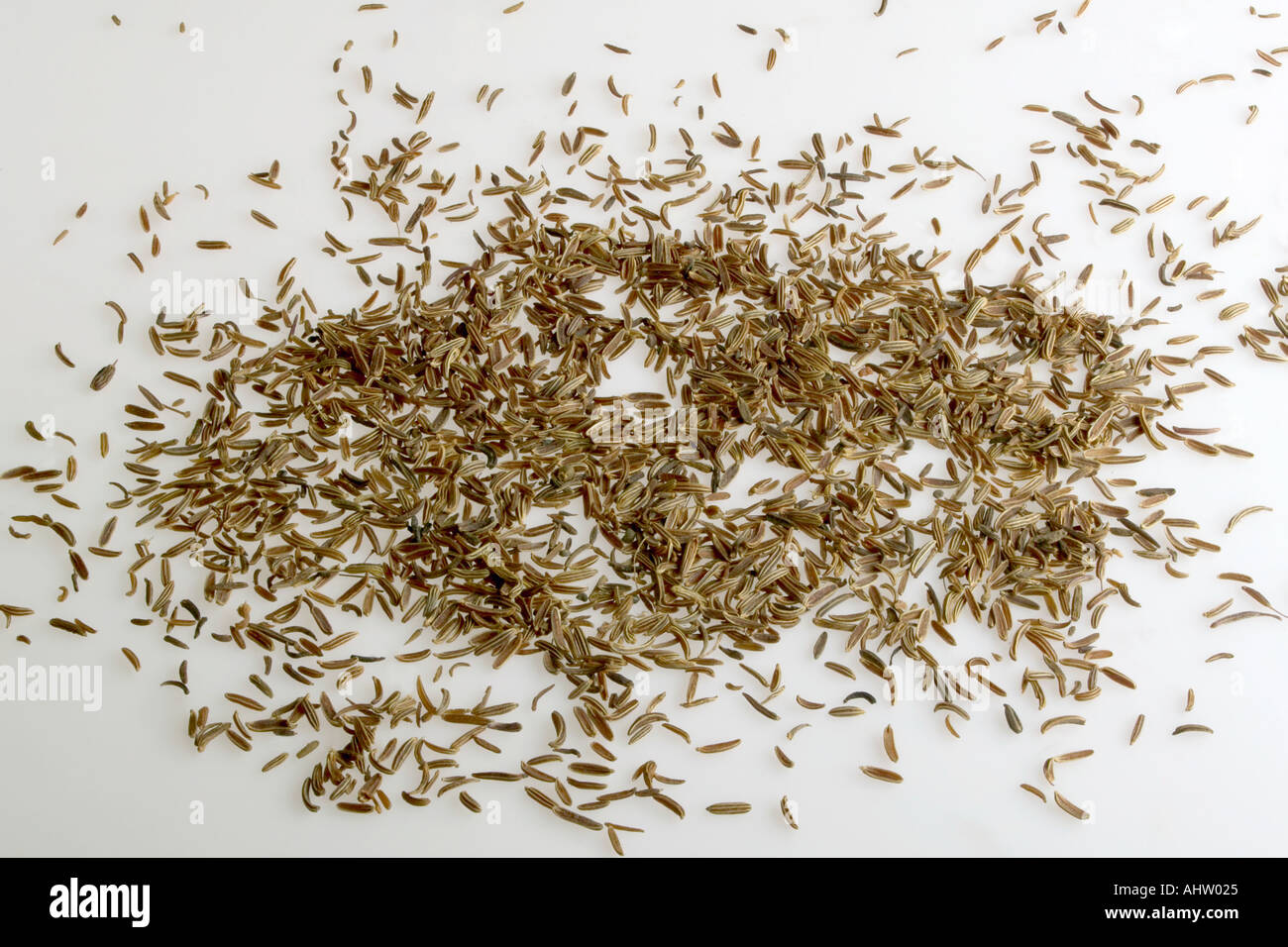 AAD91548 Indian spice herb Shah Jira Stock Photo Alamy