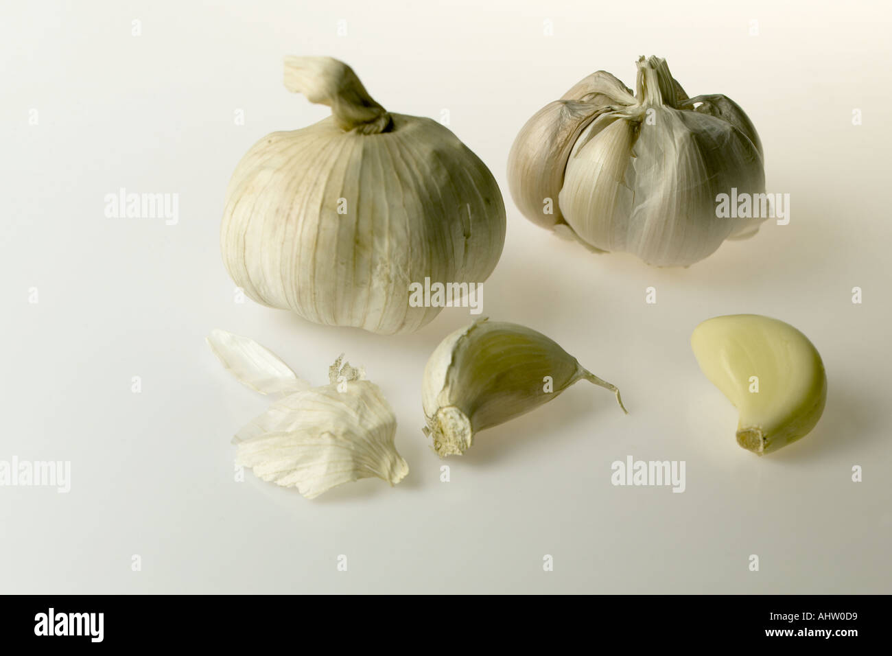 AAD 91745 Spice herb ayurvedic naturopathy healthy vegetable garlic smelly pungent pods two full table top on white background Stock Photo
