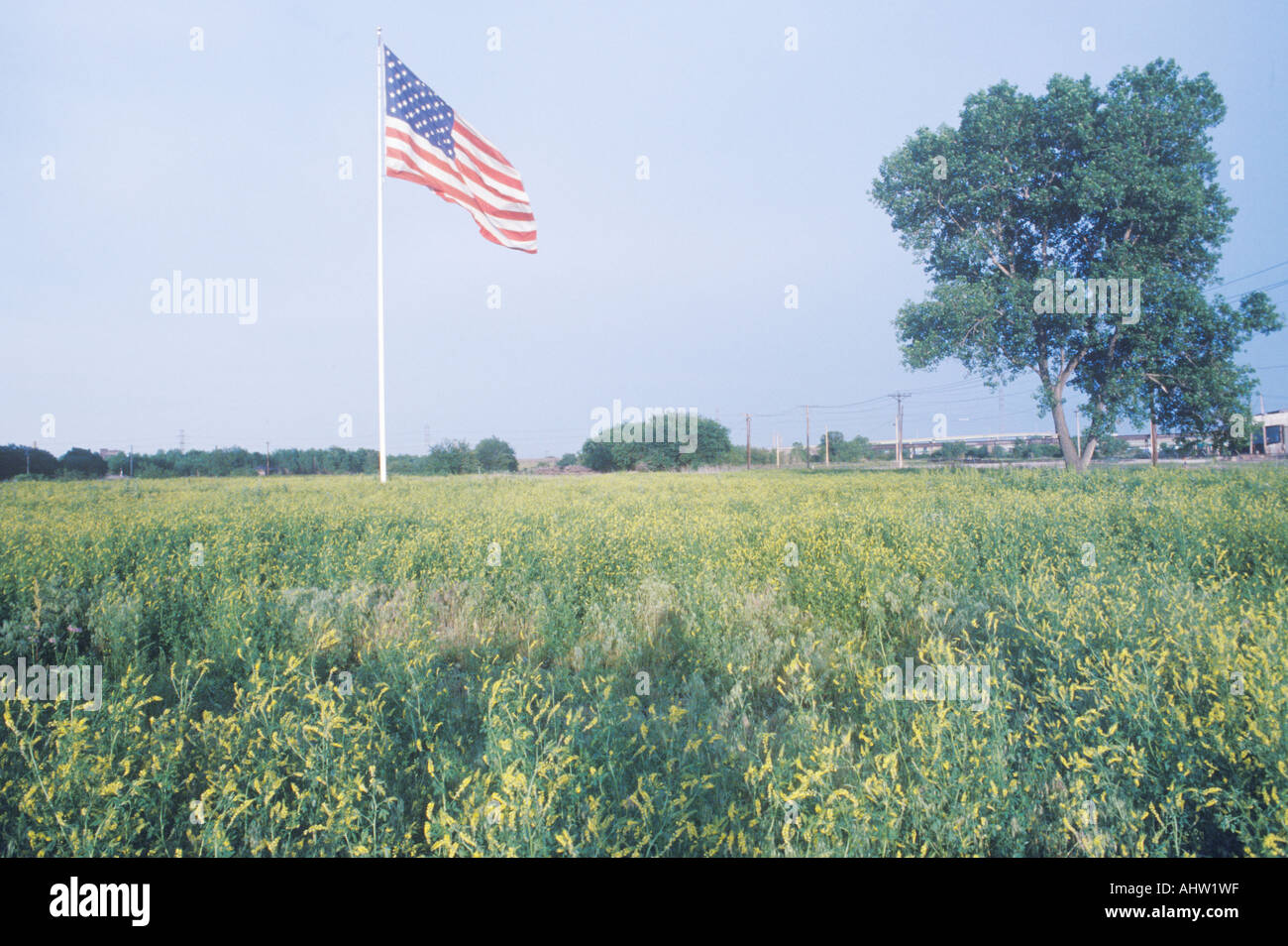 White field flag hi-res stock photography and images - Alamy