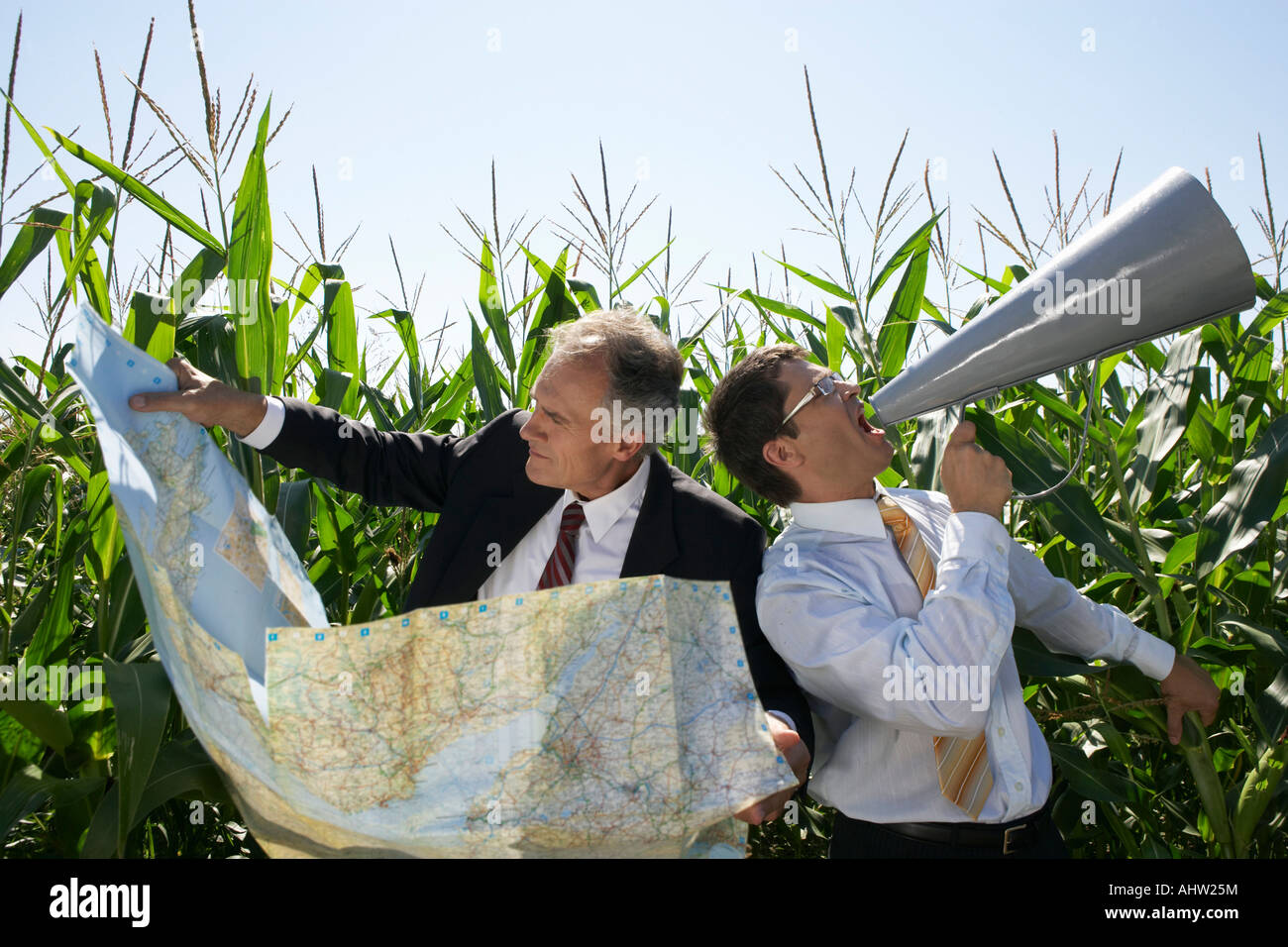 Businessmen in a cornfield with a map and megaphone. Stock Photo