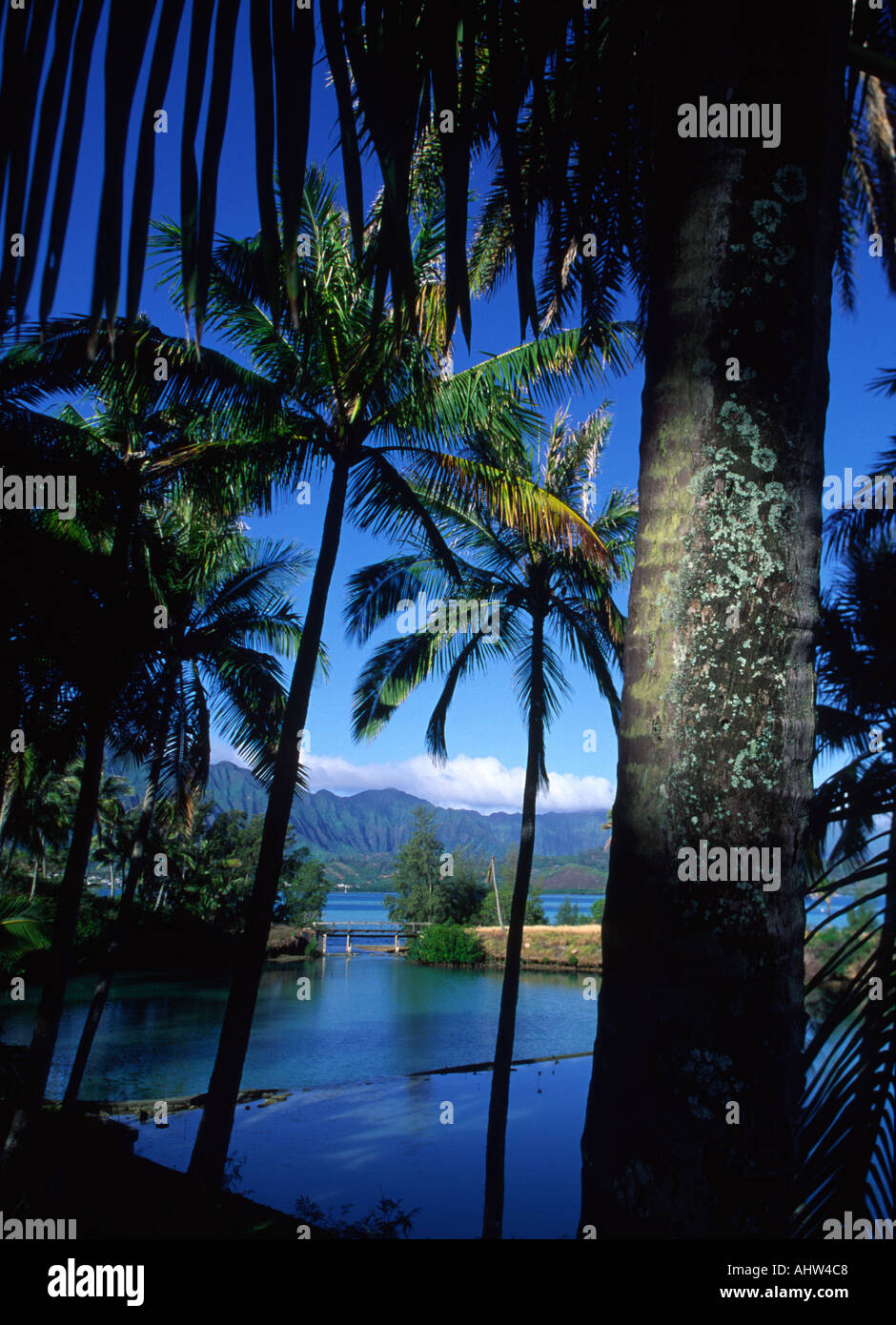 Coconut Island Kaneohe Oahu Hawaii Stock Photo Alamy