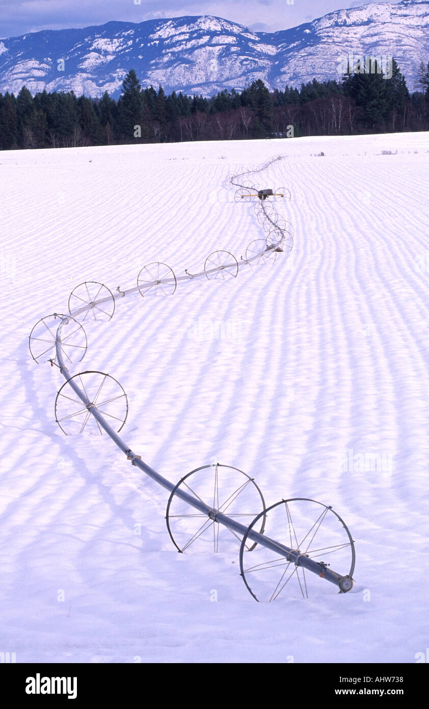 Irrigation Flathead Valley Montana Stock Photo Alamy