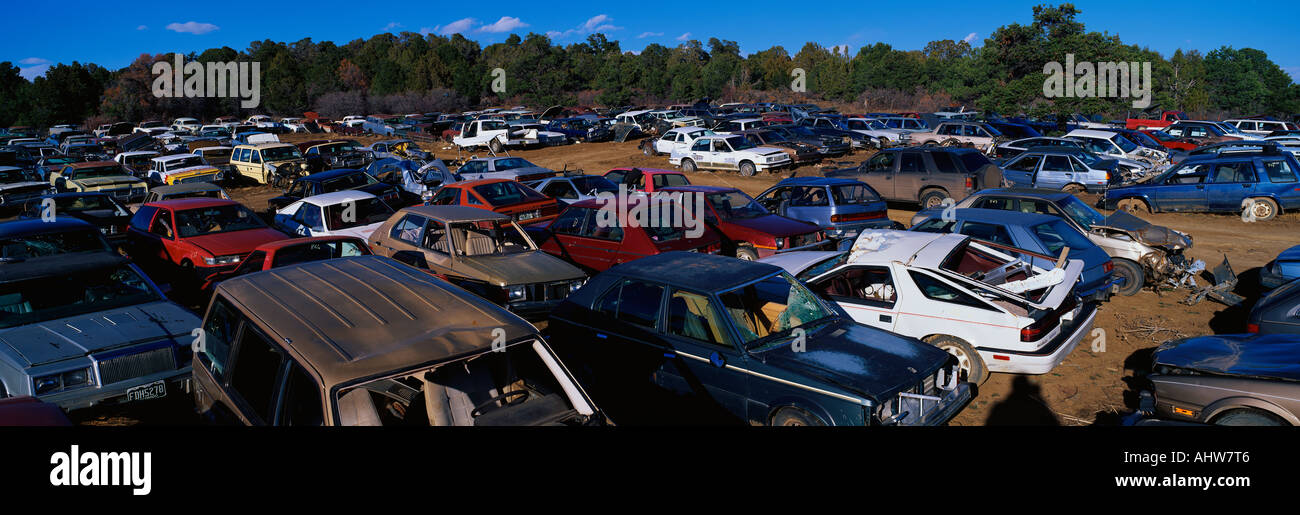 This is an auto salvage yard The cars here are either crashed vehicles or no longer in use They are wrecks all parked side by Stock Photo