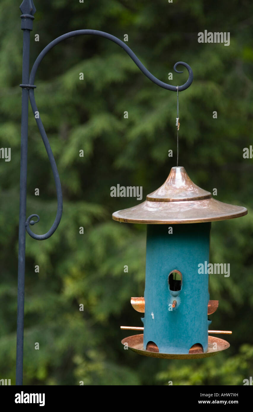 A Rustic Blue Bird Feeder Hangs In Front Of A Cool Dark Forest