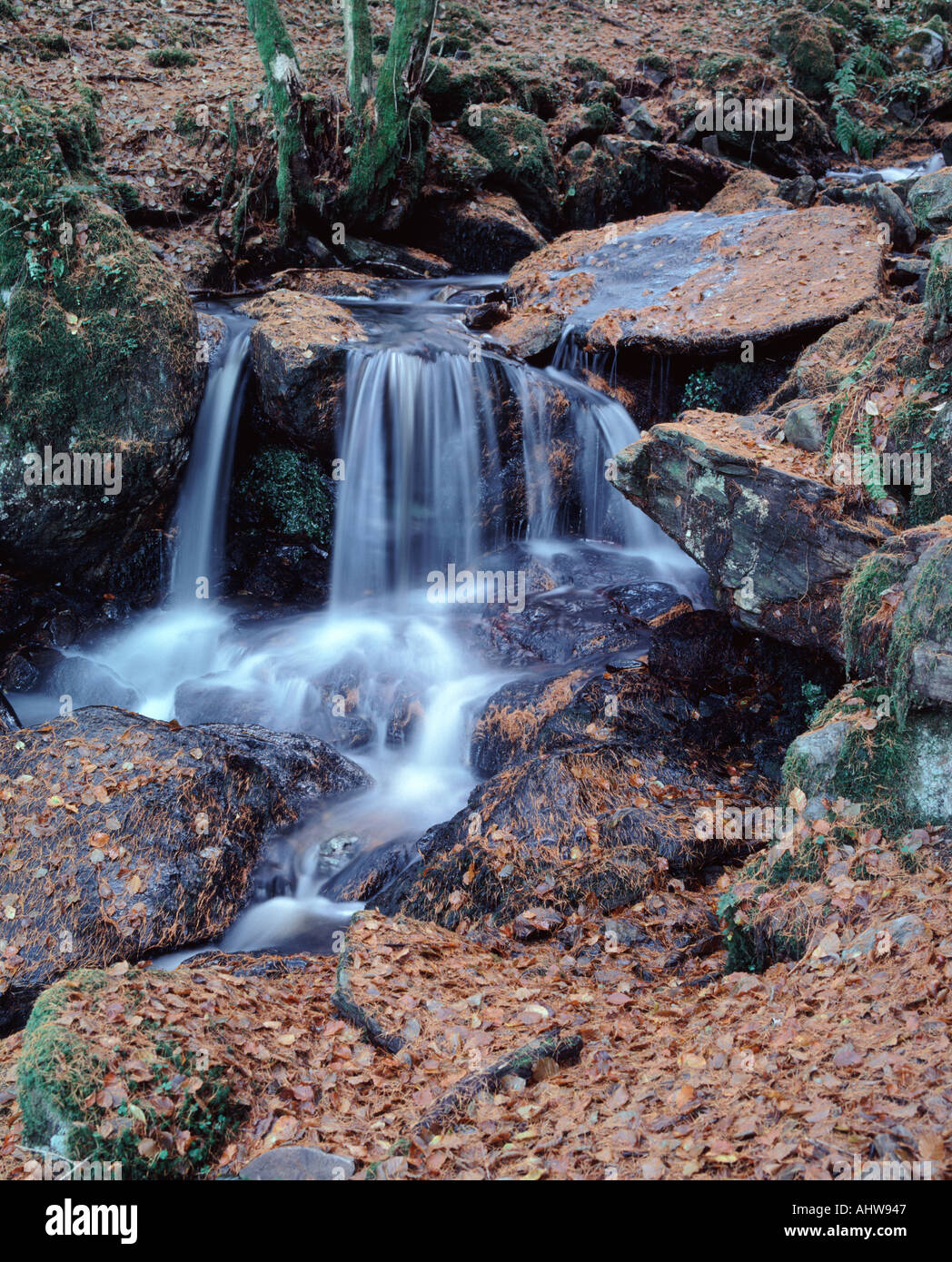 View waterfall trees leaves hi-res stock photography and images - Alamy