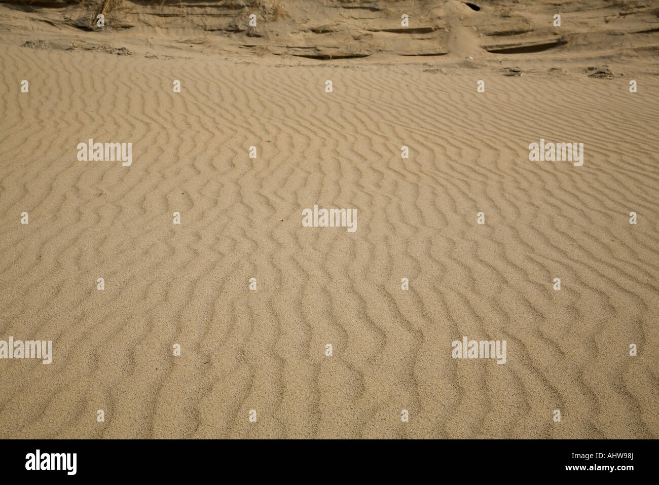 Sand Wind Ripples Ripples in sand caused by the wind Stock Photo - Alamy