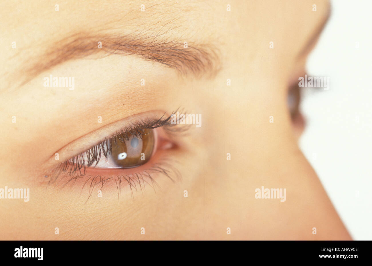 CLOSE UP OF WOMANS FACE Stock Photo