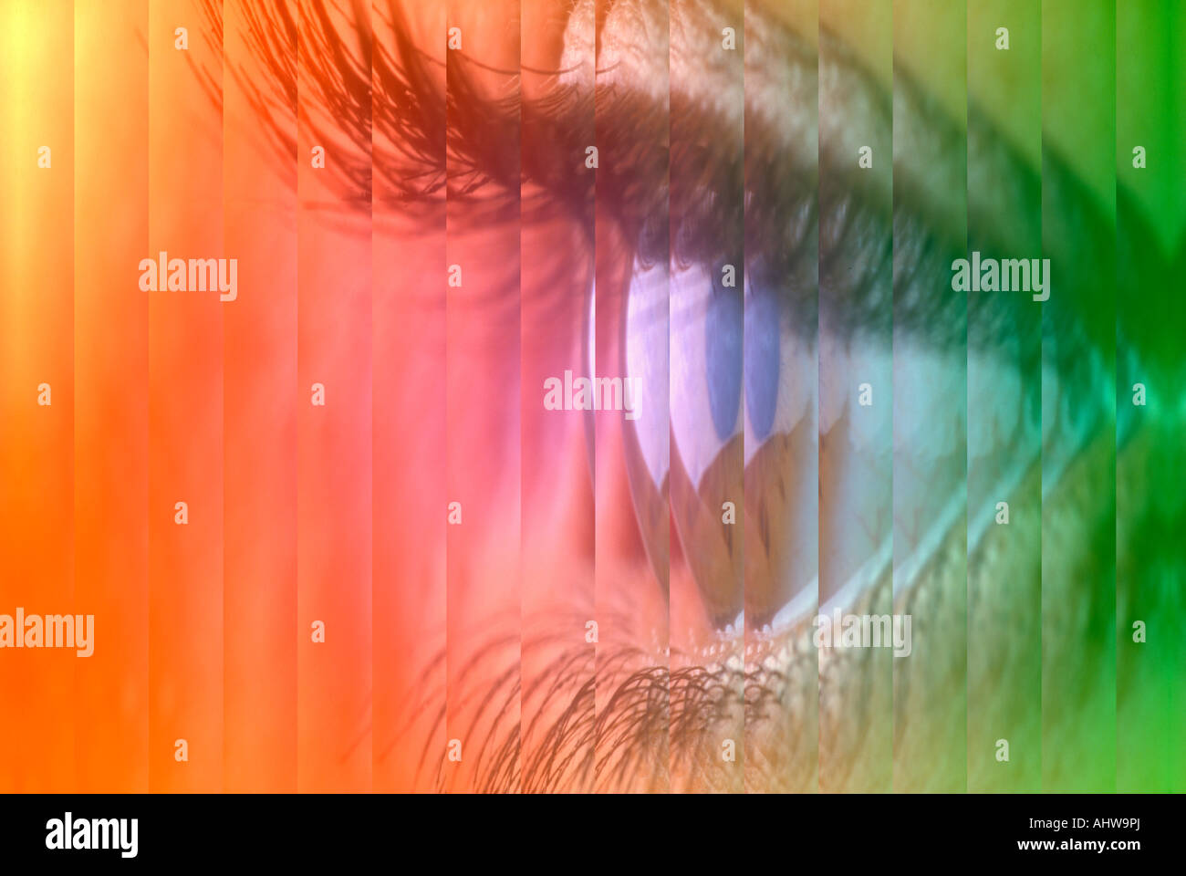 Human eye hi-res stock photography and images - Alamy