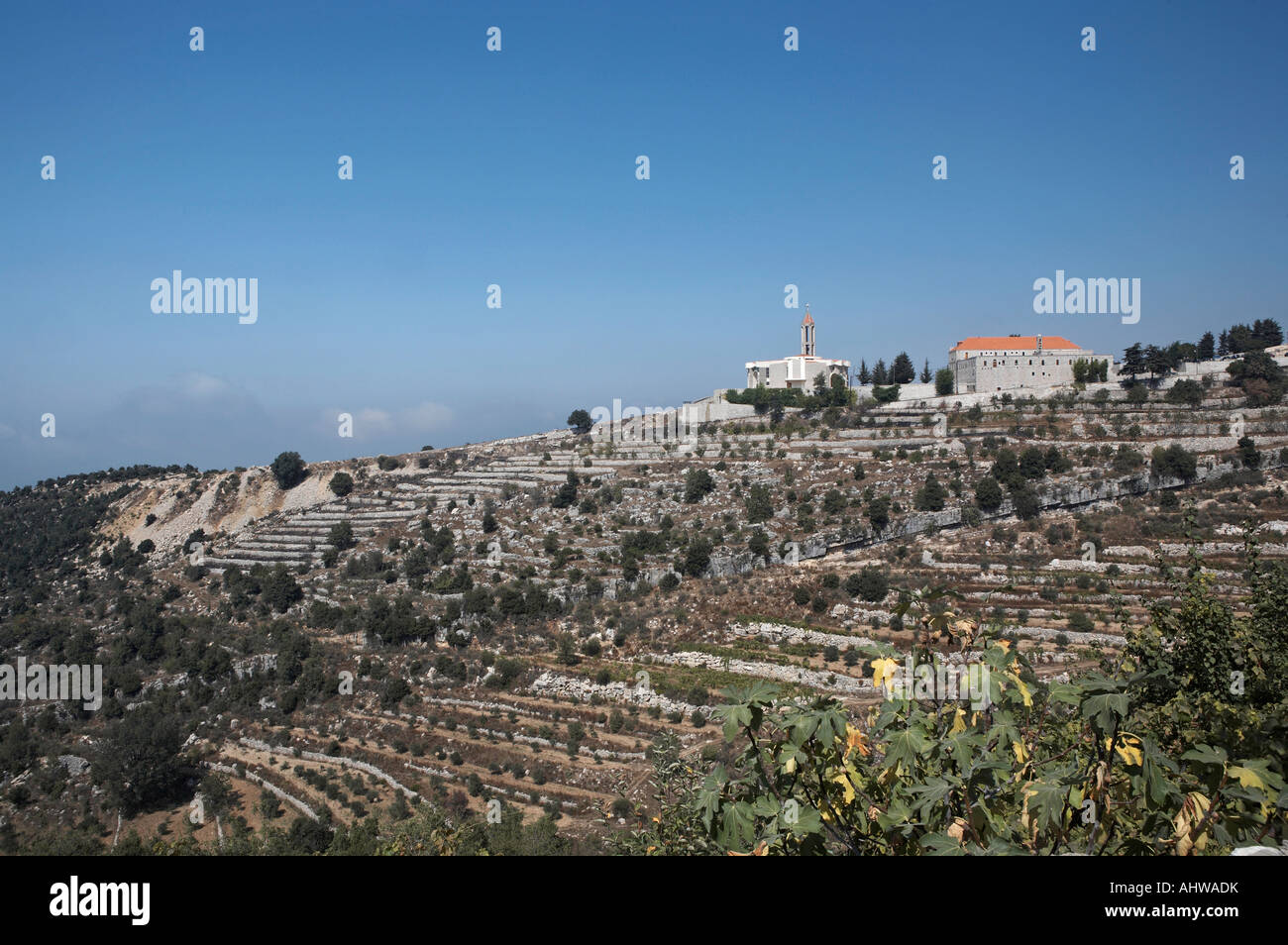 Lebanon Annaya Tomb of St Charbel monastery Stock Photo 14551422 Alamy