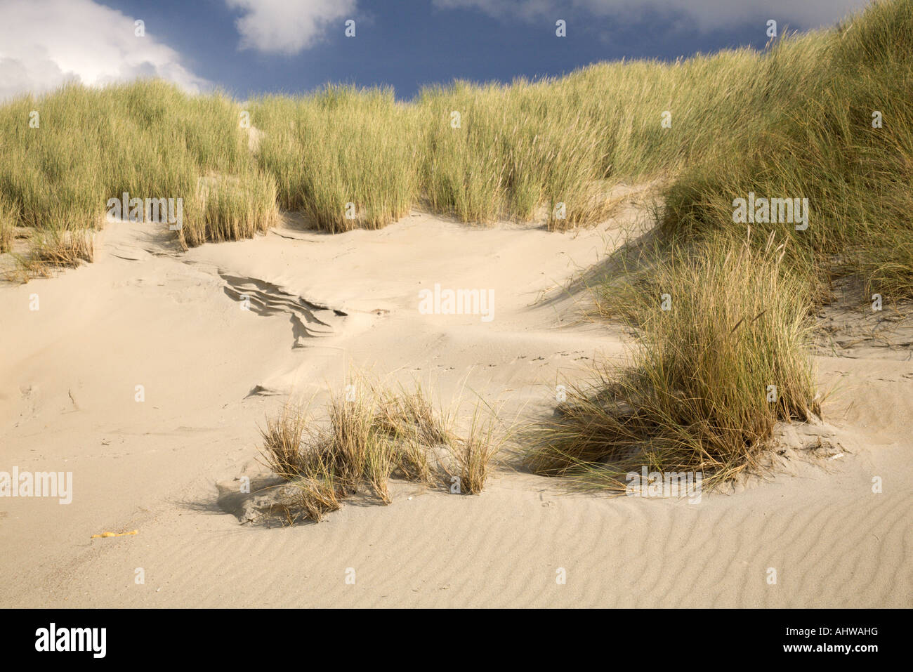 Beach and outer dunes, Haamstede, Zealand, Netherlands Stock Photo